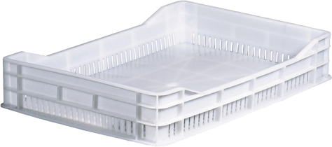 ceste pane plastica